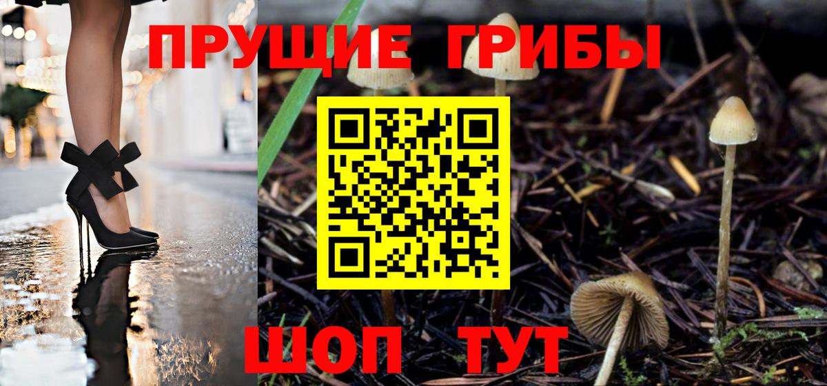 Галлюциногенные грибы мухоморы Шали